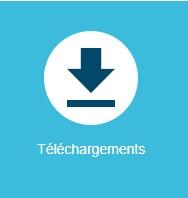 Icone téléchargement capture d'écran